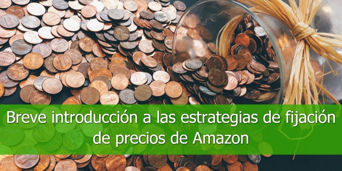 Breve introducción a las estrategias de fijación de precios de Amazon