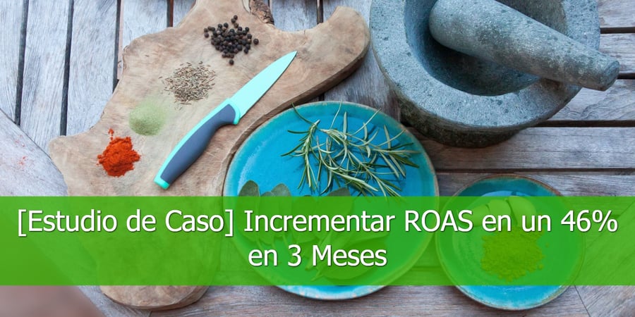 Estudio-de-Caso-Incrementar-ROAS-en-un-46-en-3-Meses